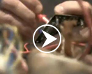 Video1